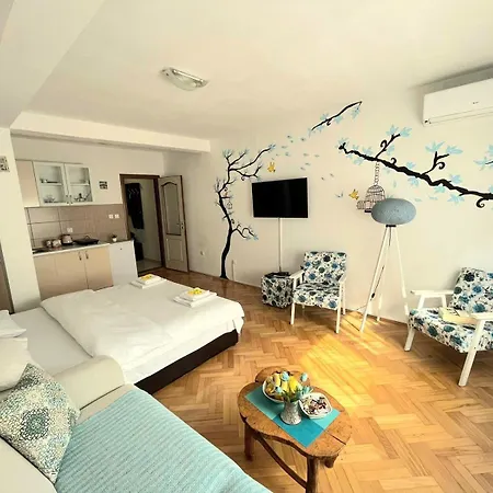 Center Apartamento Višegrad