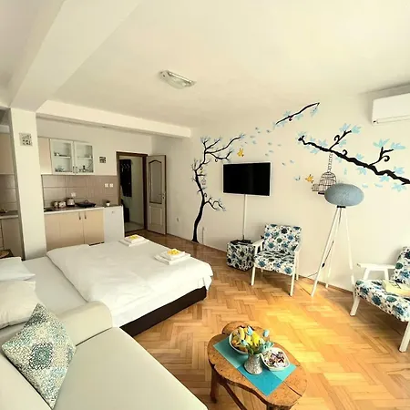Apartamento Center Višegrad
